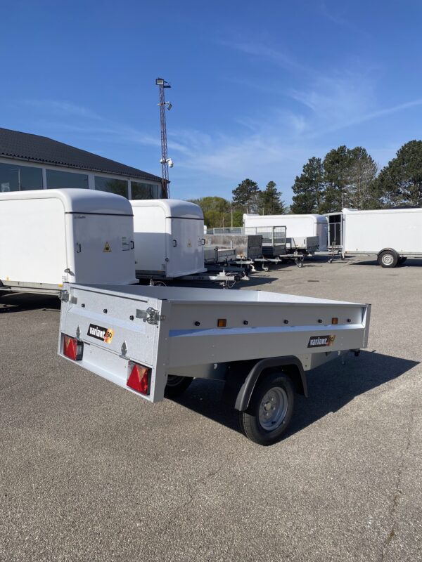 Variant model 503 DS1 - 500 kg. - Image 4