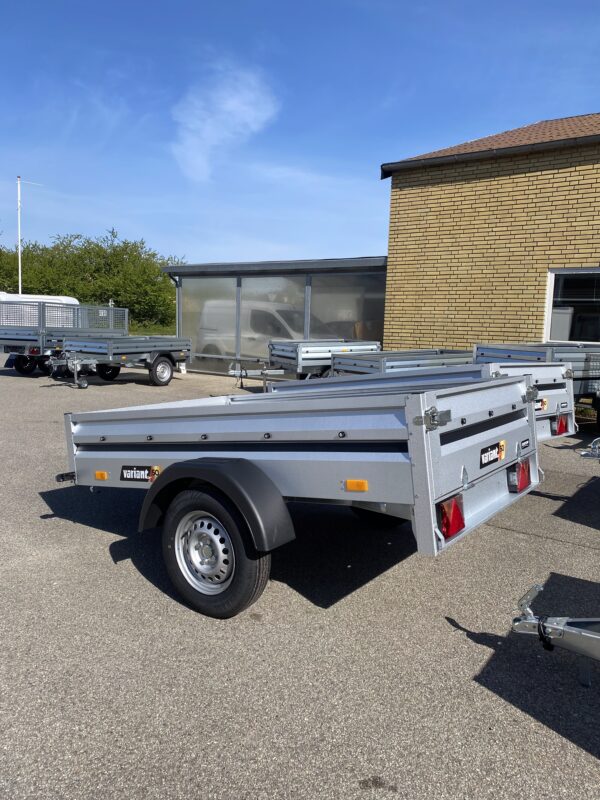 Variant model 220 EDITION - 750 kg. - Image 3